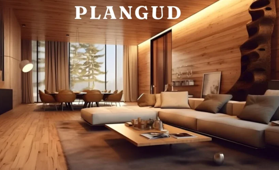 plangud