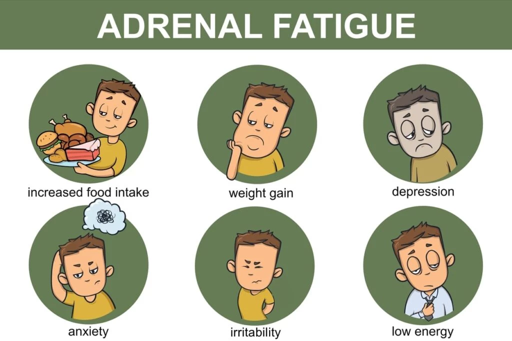 Adrenal Fatigue Disorder